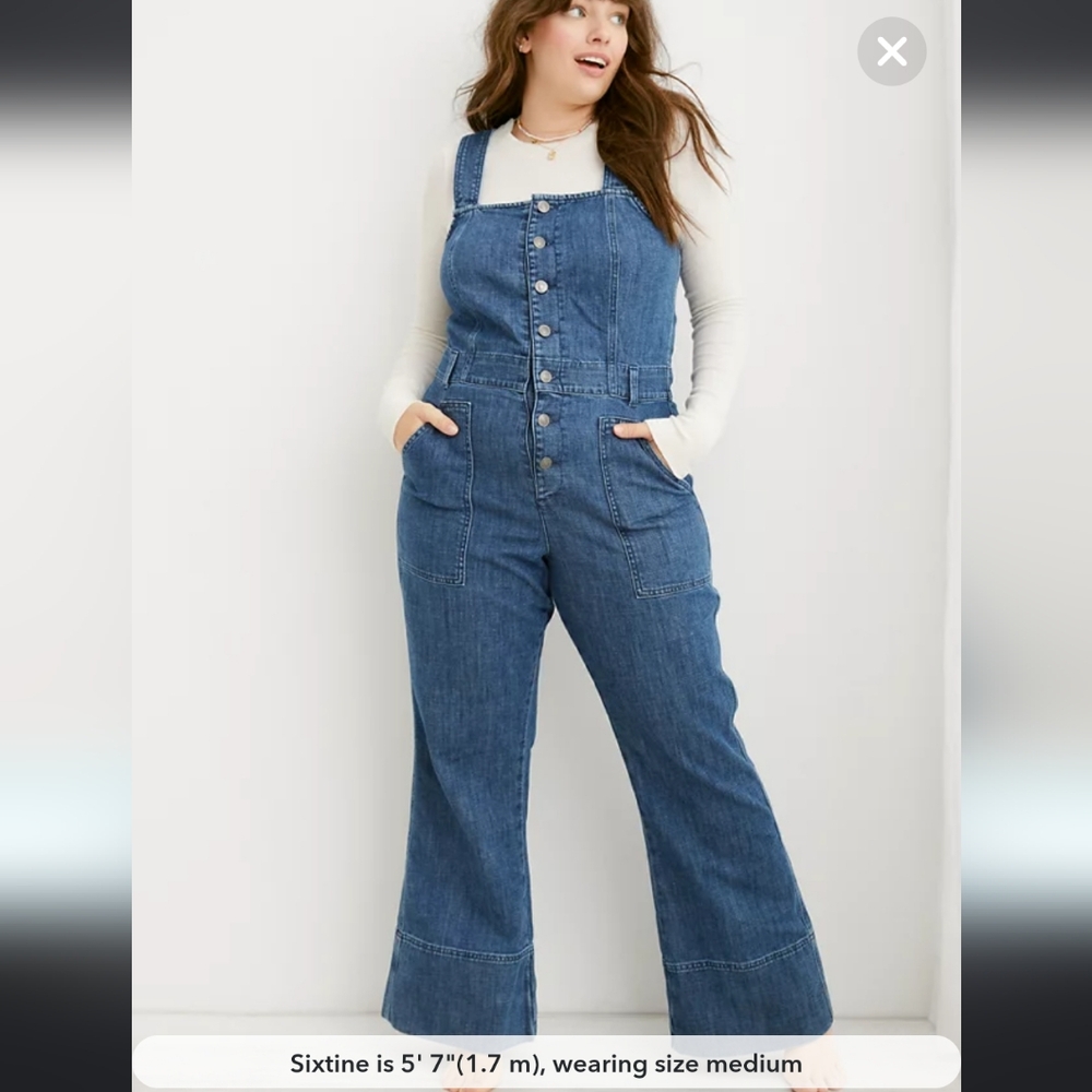 Aerie wide leg flare overalls